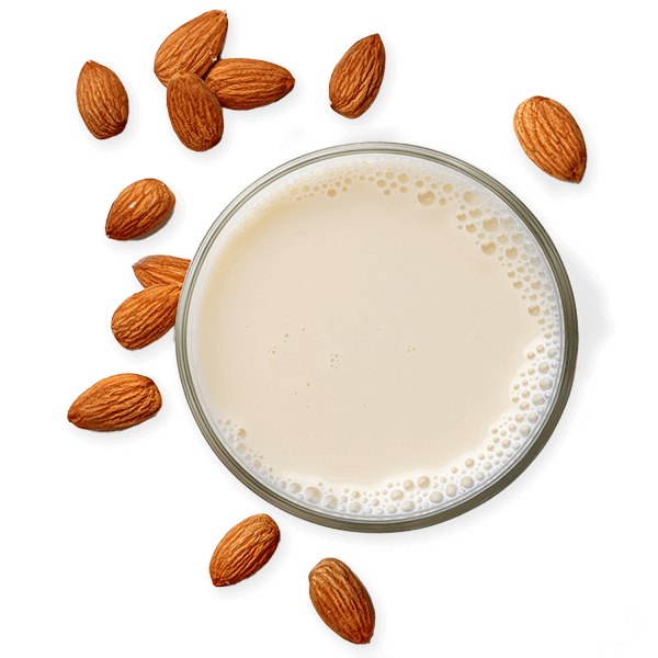 Cereal and Milk A Match Made in Heaven Nestlé® Cereals